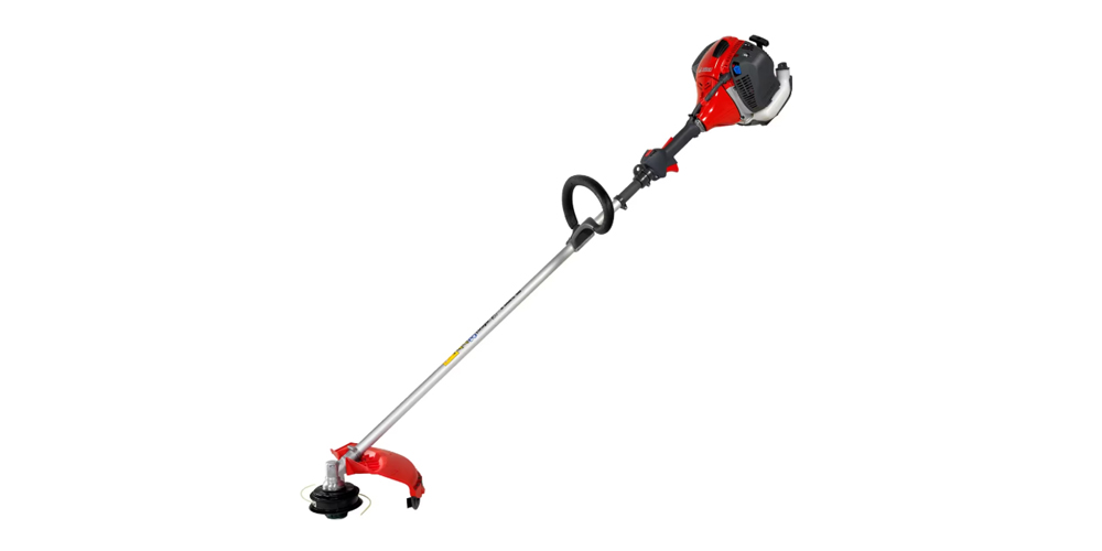 Decespugliatore PROFESSIONALE DS 5300 S